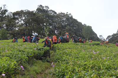 DSC_0317.JPG