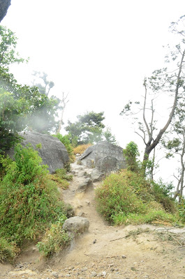 DSC_0009.JPG