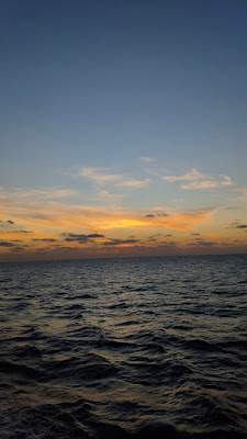 MVIMG_20250717_170923.jpg