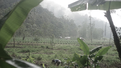DSC09321.JPG