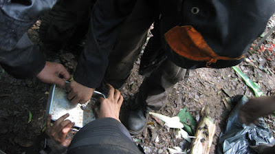 IMG_0738.jpg