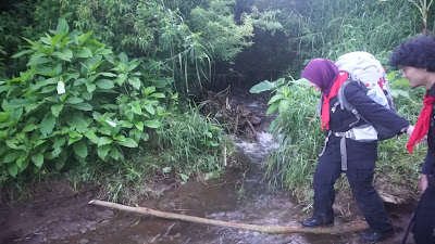 00010.mp4