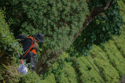 Mountaineering Course-91.jpg