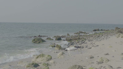 20260812_081021.mp4
