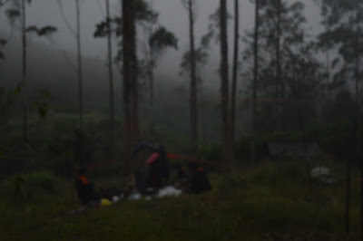 DSC_0198.JPG
