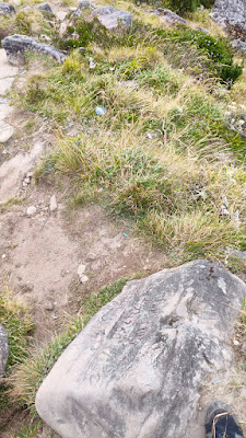 MVIMG_20250723_131334.jpg