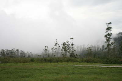 IMG_1345.jpg