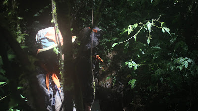 IMG_3870.JPG