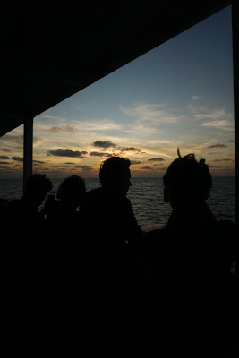 DSC03603.JPG