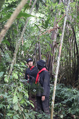 IMG_4683.JPG