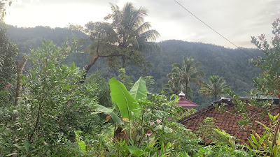 IMG_4873.MOV