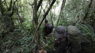 DJI_0119_001.MP4
