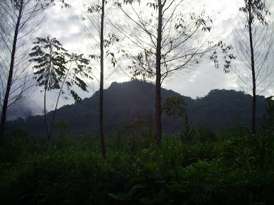 Survey PDA XIV Gunung Hutan dan SAR - 111.JPG