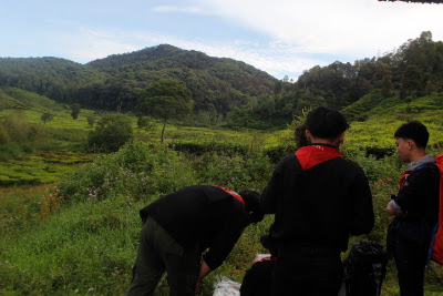 _MG_2572.JPG