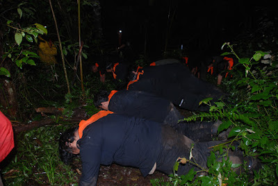 DSC_0415.JPG