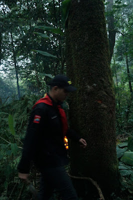 LDK00514.JPG