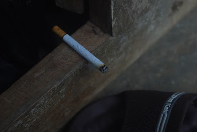 DSC_0082.NEF
