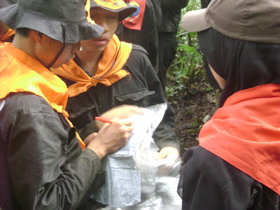 DSC08002.JPG