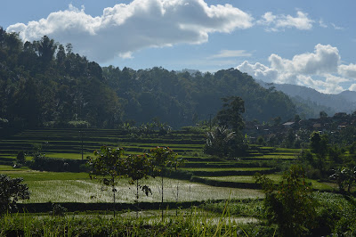 DSC_0088.JPG