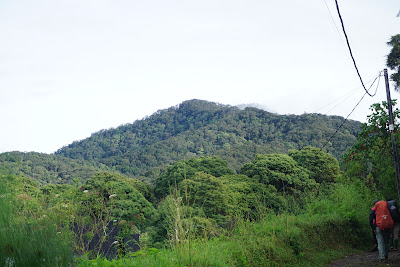 DSC07802.JPG