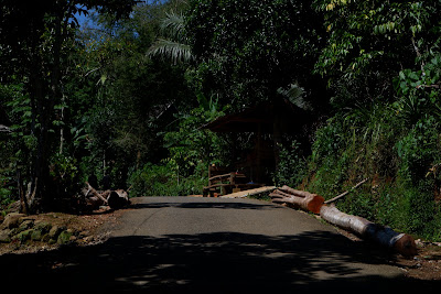 DSCF2115.JPG