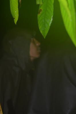 DSC_0564.JPG