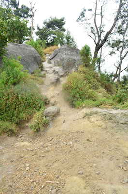 DSC_0013.JPG