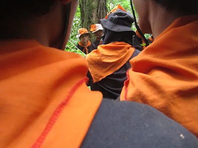 IMG_2533.JPG