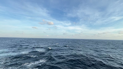 IMG_4561.MOV