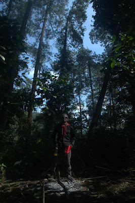 DSCF6580.RAF