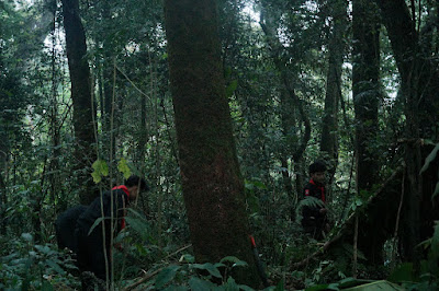LDK00506.JPG