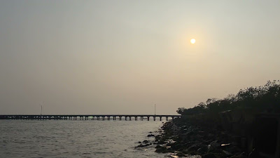 IMG_8010.MOV