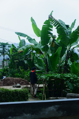 DSCF6622.JPG