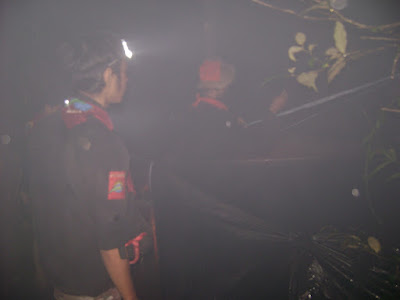 DSC08085.JPG