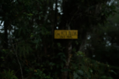 LDK00612.JPG