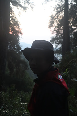 IMG_4764.JPG