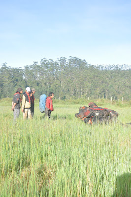 DSC_0410.JPG