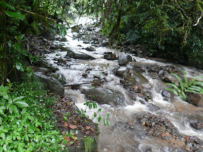 P1040766.JPG