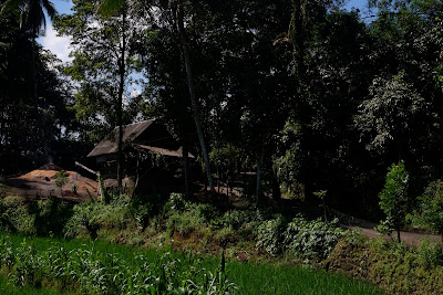 DSCF2113.JPG