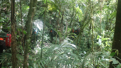 IMG_2593.JPG