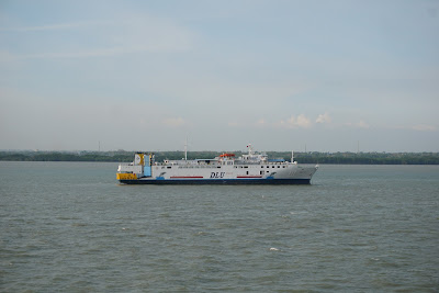 DSC03539.JPG