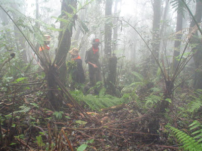 DSC02038.JPG