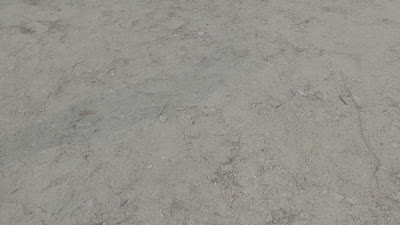 20260816_083212.mp4