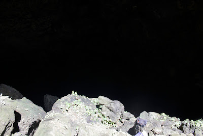 _MG_9320.JPG