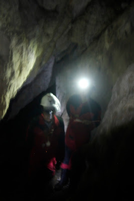_MG_8735.JPG