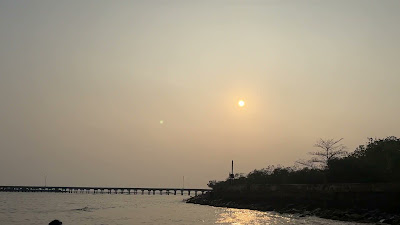 IMG_8005.MOV