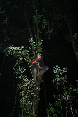 DSC08002.JPG