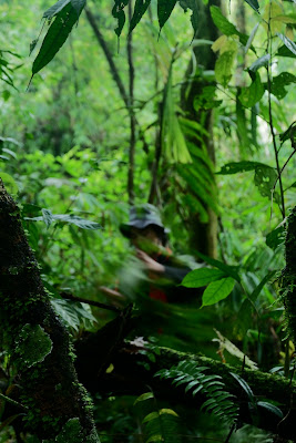 DSCF6569.JPG