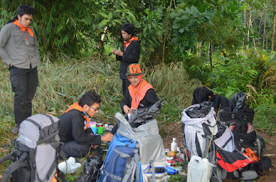 DSC_0210.JPG