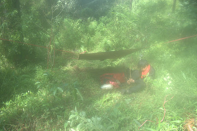 DSCF6603.RAF